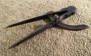 Antique Compass Dividers Hand Forged Tool