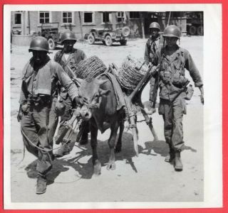 1950 Army Engineers Use South Korean Trucking To Haul Barbed Wire News Photo