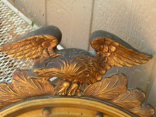 Vintage American Federal Era Convex Bullseye Mirror 13 Colonies American Eagle 3
