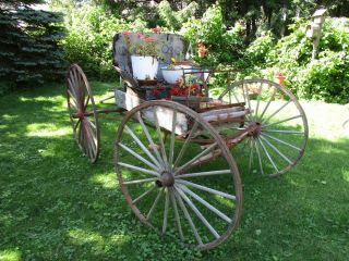 Antique Horse Drawn 1800 ' s Doctor ' s Buggy W/Harness Hopp ' s Carriage Co.  Restore 2