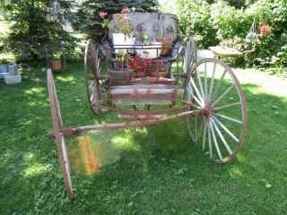 Antique Horse Drawn 1800 ' s Doctor ' s Buggy W/Harness Hopp ' s Carriage Co.  Restore 3