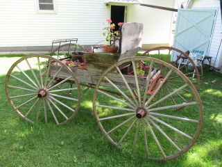 Antique Horse Drawn 1800 ' s Doctor ' s Buggy W/Harness Hopp ' s Carriage Co.  Restore 5