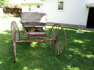 Antique Horse Drawn 1800 ' s Doctor ' s Buggy W/Harness Hopp ' s Carriage Co.  Restore 6