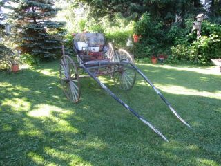 Antique Horse Drawn 1800 ' s Doctor ' s Buggy W/Harness Hopp ' s Carriage Co.  Restore 9