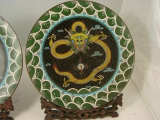 Chinese Cloisonne Plates Dragon Motif with Wood Stands Early 20th Cent 2