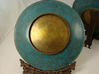 Chinese Cloisonne Plates Dragon Motif with Wood Stands Early 20th Cent 7
