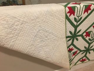1880 - 1900 Outstanding Carolina Lily Quilt 10