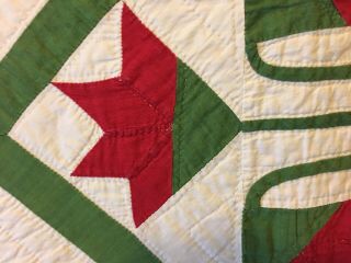 1880 - 1900 Outstanding Carolina Lily Quilt 3