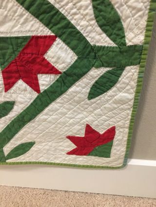 1880 - 1900 Outstanding Carolina Lily Quilt 7