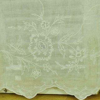 Gorgeous Antique French Fine Muslin,  Cornely Lace,  Long Curtain / Panel 19th C 2