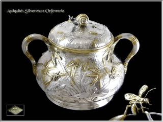 Ed.  Tetard - Antique French Sterling Silver & Vermeil Sugar Pot - Snail & Insect