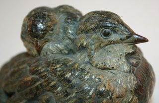 Franz Bergmann Vienna Bronze Cold Painted of Bird & 2 Chicks Geschutzt 2