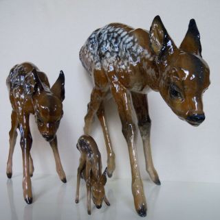 14 " Rosenthal Porcelain Figurine Roe Deer Fawn 1775 By Heidenreich Xl Rare