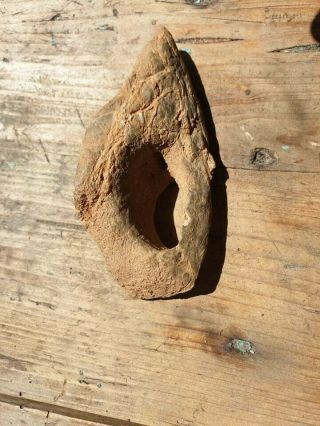 weird prehistoric artifact fossil tool found in a cave dinosaur bone neanderthal 6