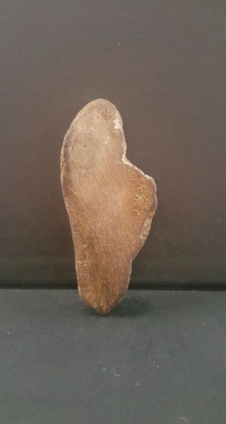 Equisite Upper Paleolithic/mesolithic Venus Figurine In Part Fossilized Bone.