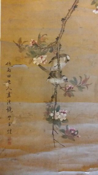 Large Fine Antique Chinese Scroll Painting - Birds