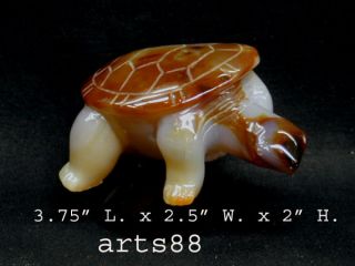 Brown Agate Tortoise (turtle) Feng Shui