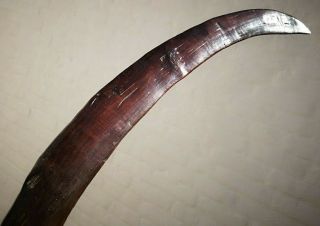 Rare Crescent Form Antique Aboriginal Queensland Wood Boomerang Throwing Club