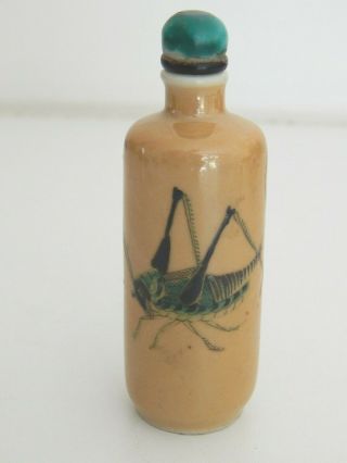 Fine Antique Qing Dynasty Chinese Porcelain Snuff Bottle With Crickets