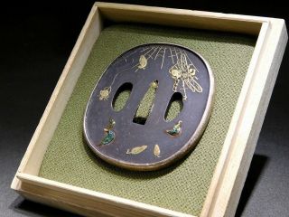 Rare Cloisonne Inlay Tsuba Dragonfly & Spider 19thc Japanese Edo Antique