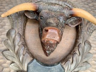 Fabulous Antique Black Forest Carved Wood Panel With Steer & Cow Head Mounts 8