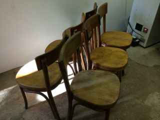 Vintage Thonet Bentwood Chairs