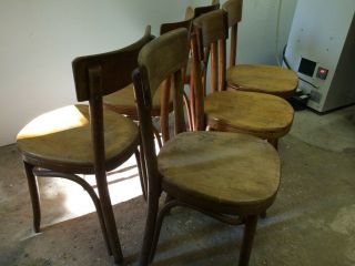Vintage Thonet Bentwood Chairs 3