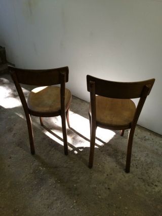Vintage Thonet Bentwood Chairs 6