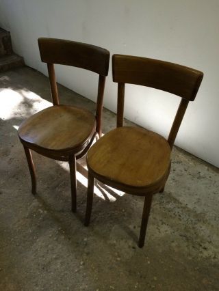Vintage Thonet Bentwood Chairs 7