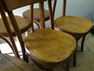 Vintage Thonet Bentwood Chairs 8