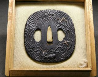 RARE Mantis TSUBA for KATANA 18 - 19thC Japanese Edo Koshirae Antique 3