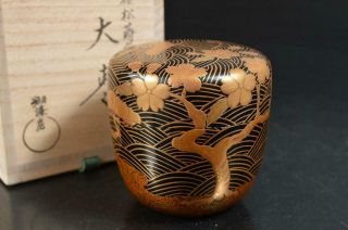 S9615: Japan Wooden Lacquer Ware Tea Caddy Natsume Chaire Container W/signed Box