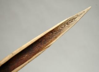 Old Vintage Papua Guinea Primitive Cassowary Bone Dagger Knife 10