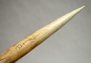 Old Vintage Papua Guinea Primitive Cassowary Bone Dagger Knife 11