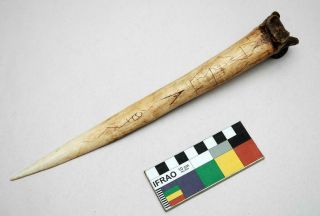 Old Vintage Papua Guinea Primitive Cassowary Bone Dagger Knife