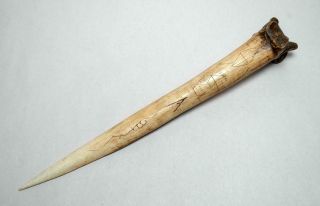 Old Vintage Papua Guinea Primitive Cassowary Bone Dagger Knife 4
