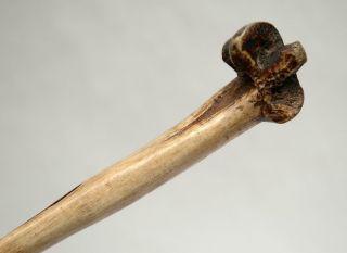 Old Vintage Papua Guinea Primitive Cassowary Bone Dagger Knife 7