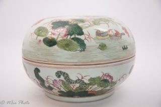 Famille Rose Porcelain Water Lily Mandarin Duck Food Box With Ming Mark 9.  6 Lbs.