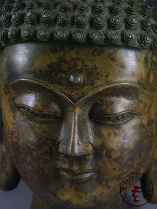 Very Large Old Chinese Tibet Bronze Made Tibetan Buddha Sakyamuni Head Statue 6
