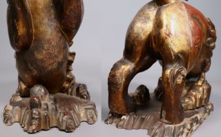 Large Antique 18th 19th Century Chinese Gilt Lacquered Wood Foo Lions 12