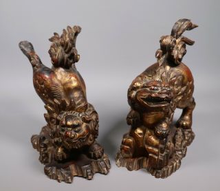 Large Antique 18th 19th Century Chinese Gilt Lacquered Wood Foo Lions 2
