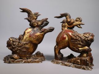 Large Antique 18th 19th Century Chinese Gilt Lacquered Wood Foo Lions 3