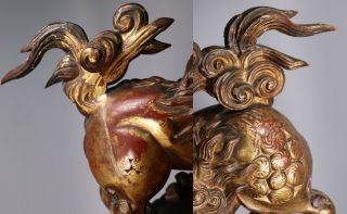Large Antique 18th 19th Century Chinese Gilt Lacquered Wood Foo Lions 8