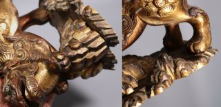 Large Antique 18th 19th Century Chinese Gilt Lacquered Wood Foo Lions 9
