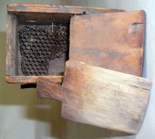 Antique Wooden Queen Bee Box Apiary Beekeeping Primitive Country Farmer Made 9