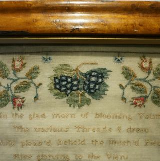 EARLY 19TH CENTURY VERSE & MOTIF SAMPLER BY JANE HOLMES AGED 10 - c.  1810 11