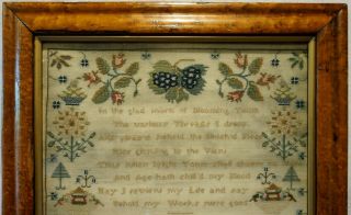 EARLY 19TH CENTURY VERSE & MOTIF SAMPLER BY JANE HOLMES AGED 10 - c.  1810 2