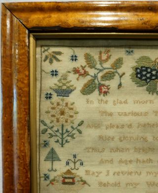 EARLY 19TH CENTURY VERSE & MOTIF SAMPLER BY JANE HOLMES AGED 10 - c.  1810 4