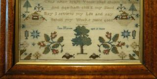 EARLY 19TH CENTURY VERSE & MOTIF SAMPLER BY JANE HOLMES AGED 10 - c.  1810 8