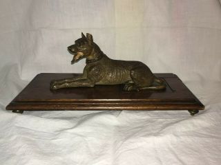 Rare Antique Desk Paper Holder / Clip Great Dane Dog Cold Painted Bronze 1800s 3